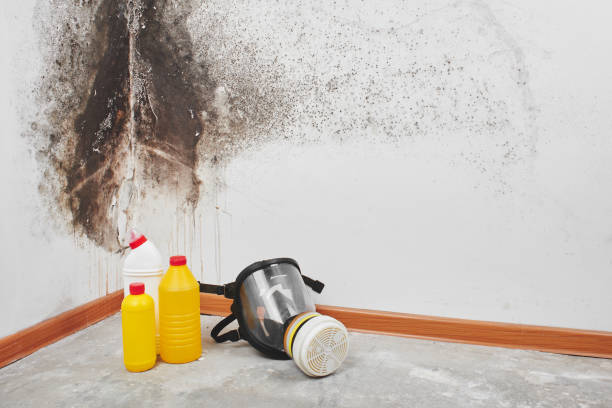 Best Mold Cleaning Services  in Caledonia, WI