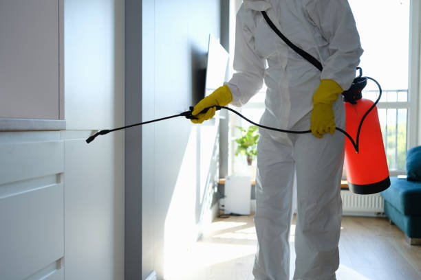 Best Mold Removal Company Near Me  in Caledonia, WI