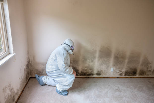 Best Emergency Mold Removal  in Caledonia, WI