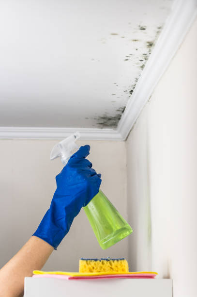 Best Office Mold Removal Services  in Caledonia, WI